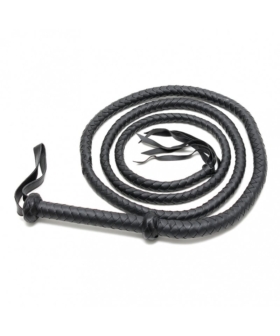 Rimba Arabian Bullwhip